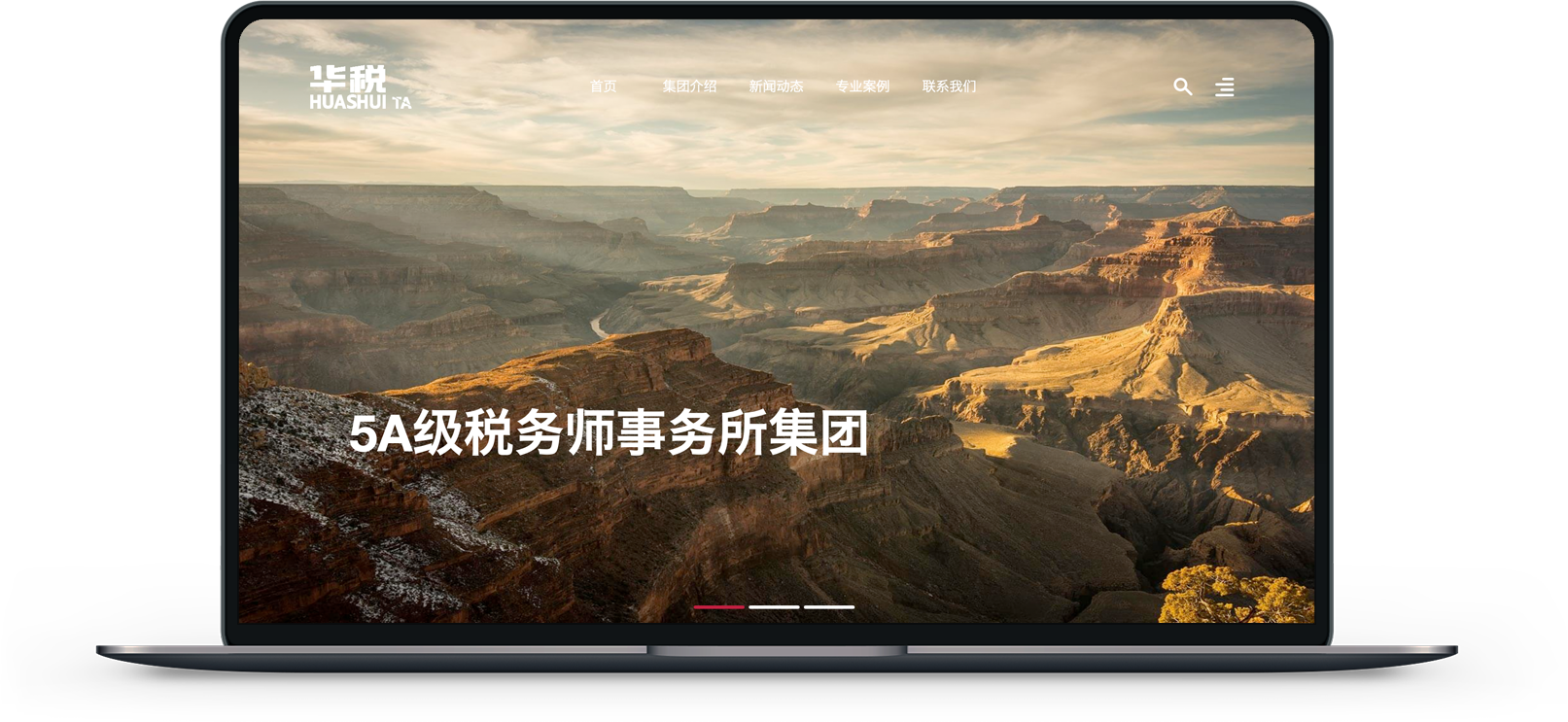  财务网站建设